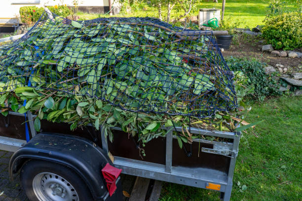 Best Residential Junk Removal  in Greybull, WY